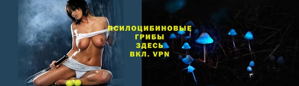 мяу мяу кристалл Гусев