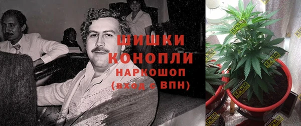ALPHA-PVP Гусиноозёрск