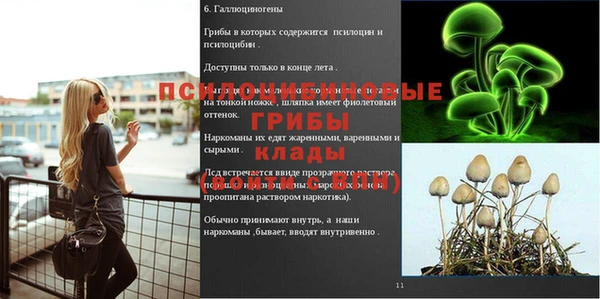 мяу мяу кристалл Гусев
