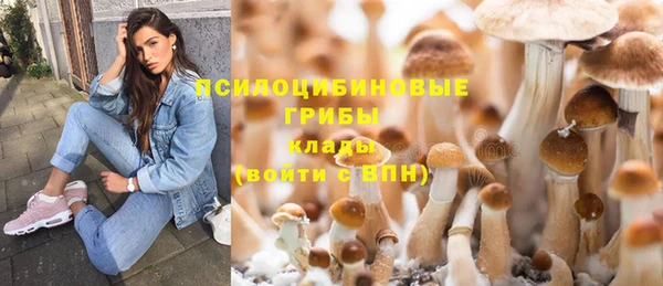 стафф Гусь-Хрустальный
