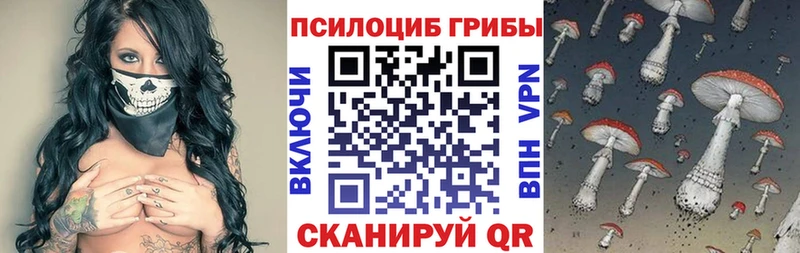 Псилоцибиновые грибы MAGIC MUSHROOMS  Ельня 